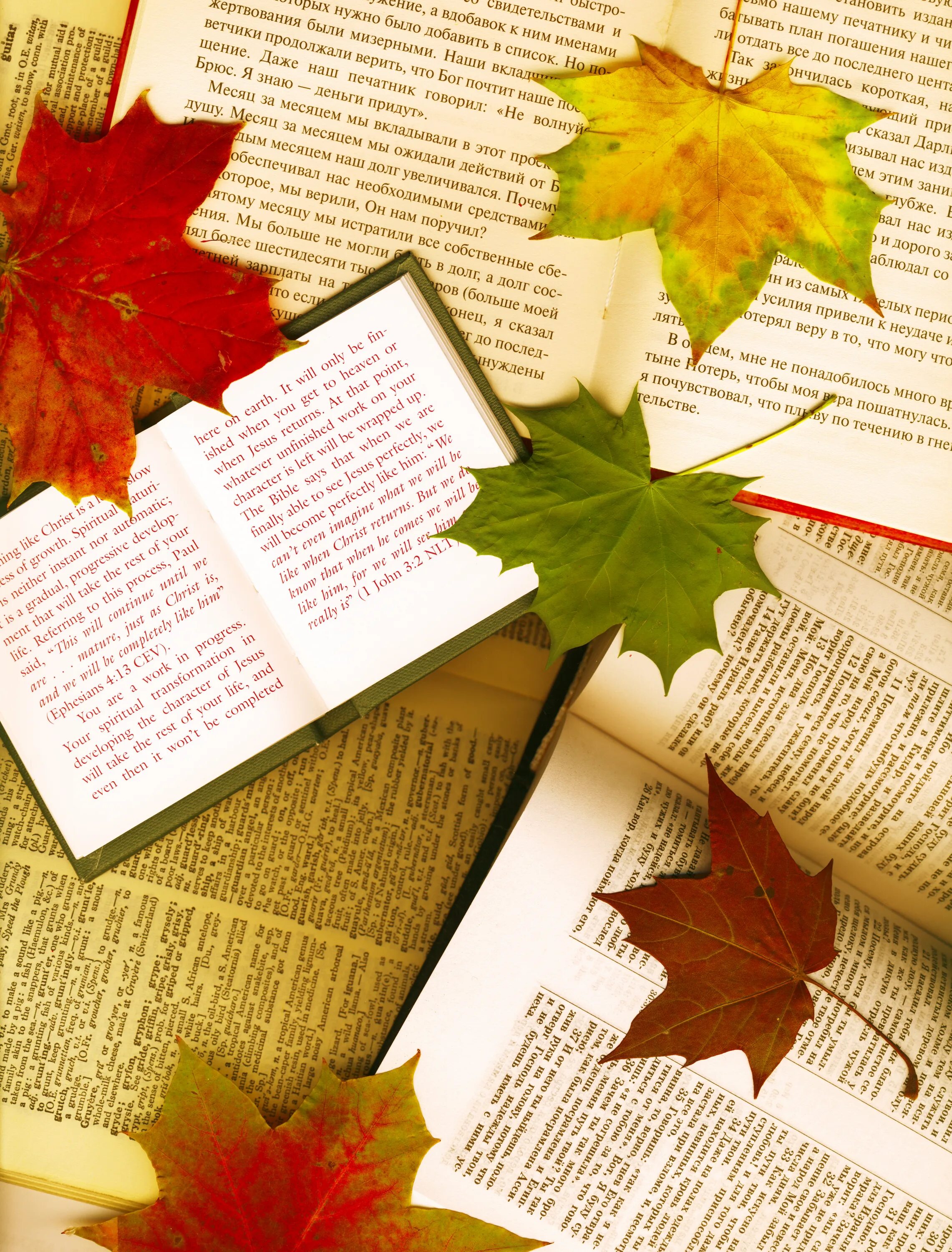 8 лист читать. Книга с листочками. листик в книге. кленовый лист в книге. кленовые листья с учебниками.