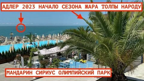 Погода адлер 2023 года
