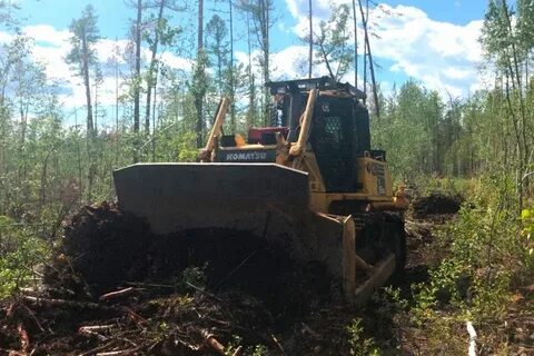 Красноярское лесничество красноярский край сайт