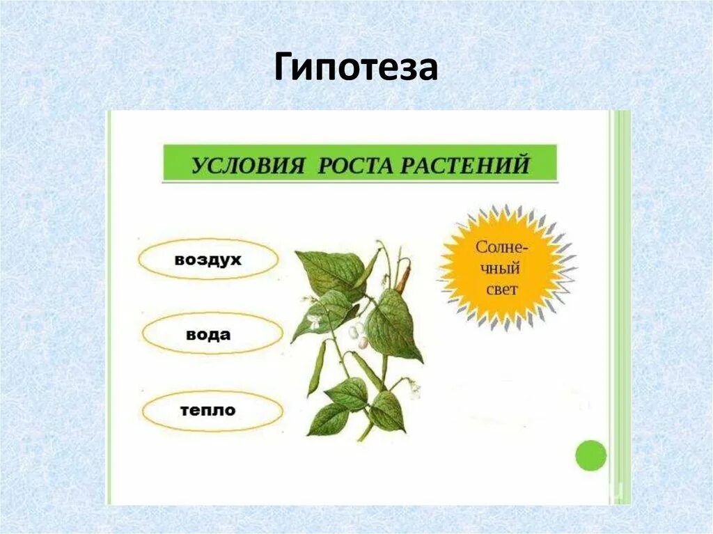 Значение роста в жизни растений 5. Схема роста растения. Усллвтя роста и развития растения. Рост и развитие растений схема. Факторы роста и развития растений.