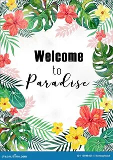 Welcome to paradize трейнер