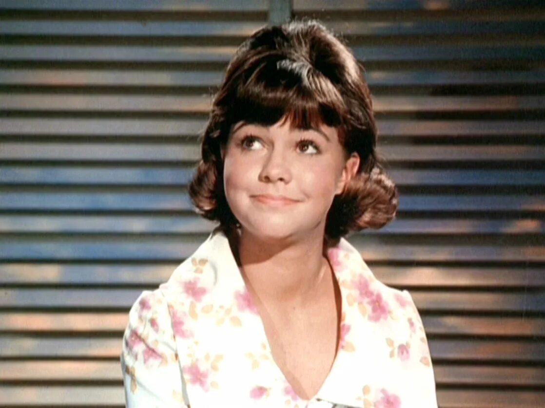Every day sally. Салли филд. sally field 1965. салли филд джуманджи. sally field в молодости.