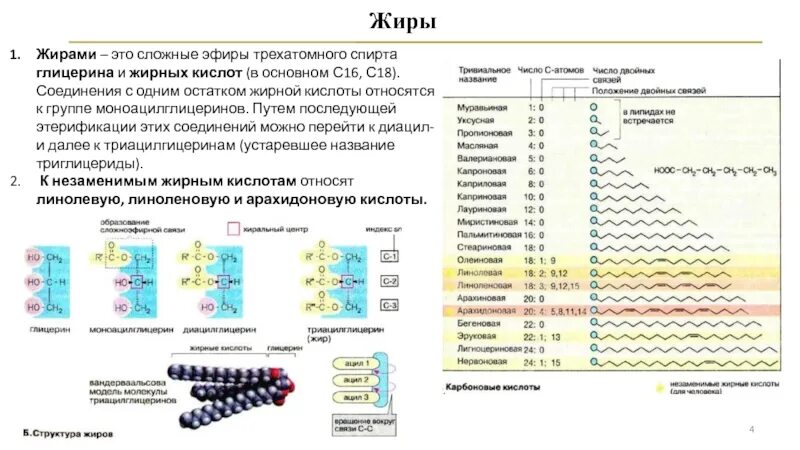 Сложным эфиром глицерина и высших. Сложные эфиры жирных кислот и спирта глицерина это. Жиры это сложные эфиры спирта и глицерина. Жиры сложные эфиры трехатомного спирта глицерина и. Эфиры трехатомного спирта глицерина и жирных кислот это.