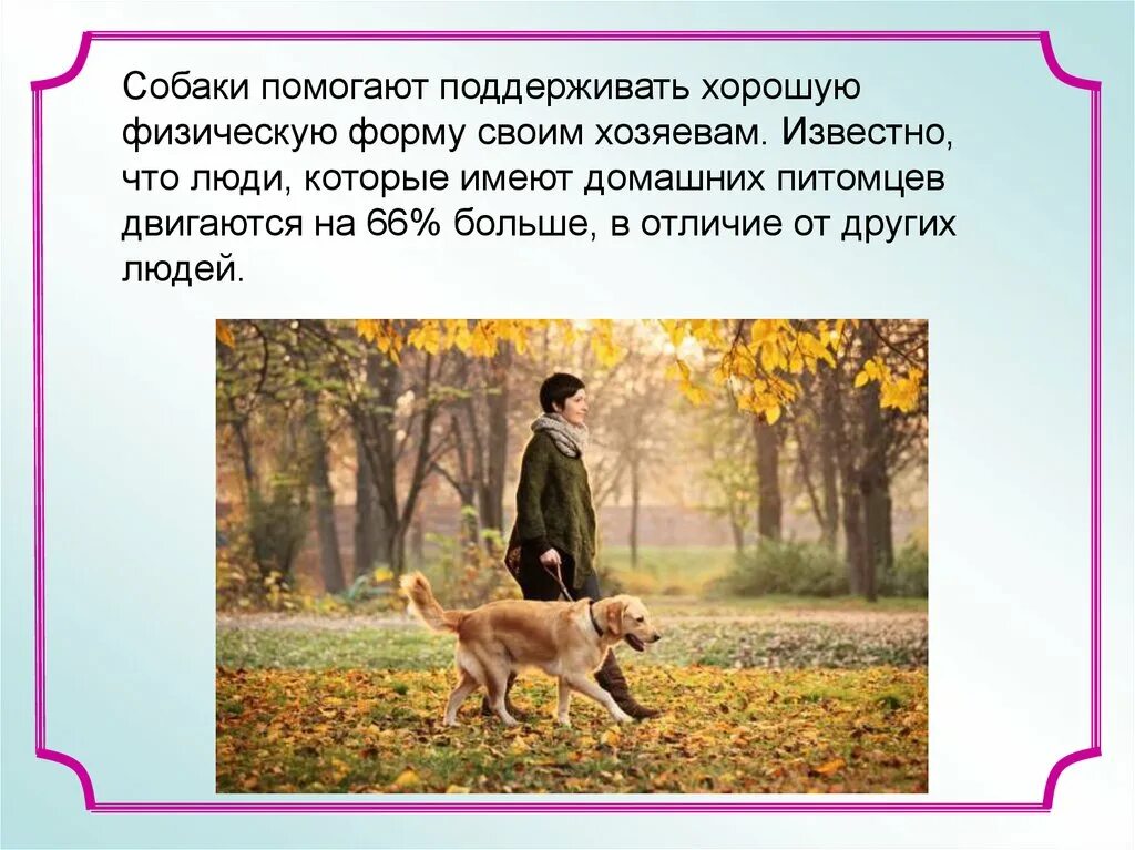 Роль собаки в жизни человека. Собаки в жижизни человека. Поль собсуи в жизни человека. Собака в жизни человека проект.