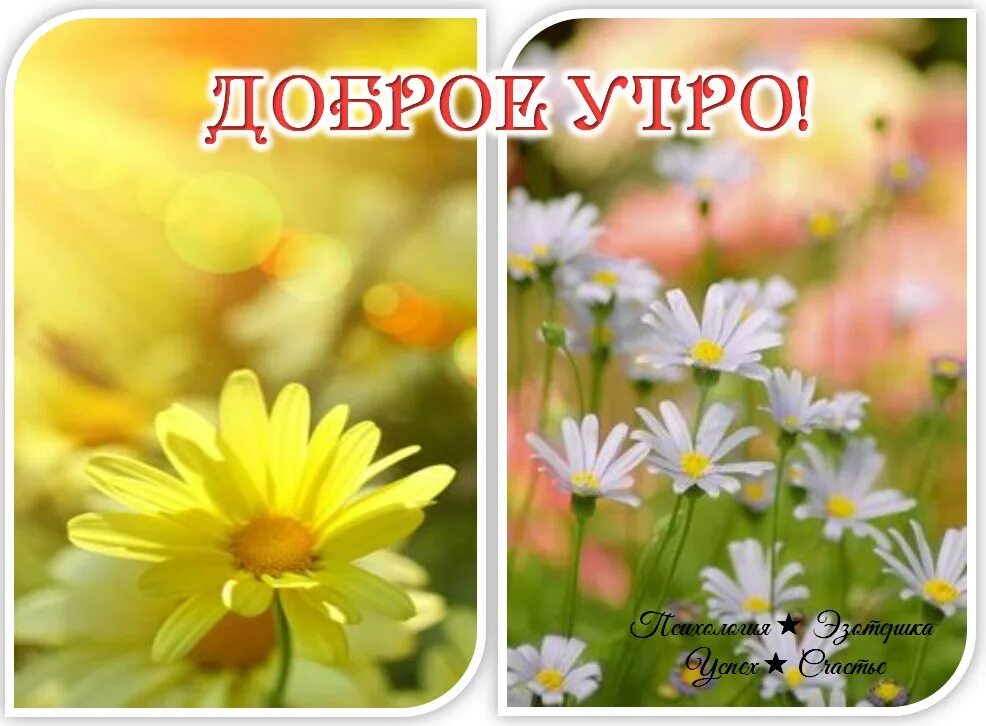 Когда встречают солнышко в 2025