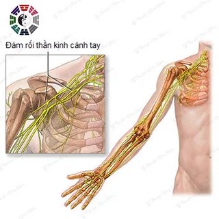 tháng 7 2018 Y Thuật Gia Bảo