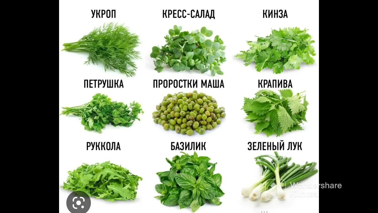 Куда добавить зелени. Укроп петрушка кинза базилик лук. зелень для салатов названия. название зелени для еды. какая зелень самая полезная.