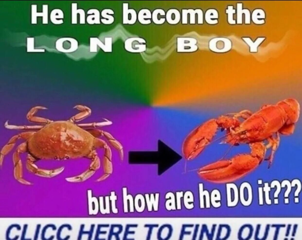 When he grows up he become. He has become the long boy. has become. he becoming что это.