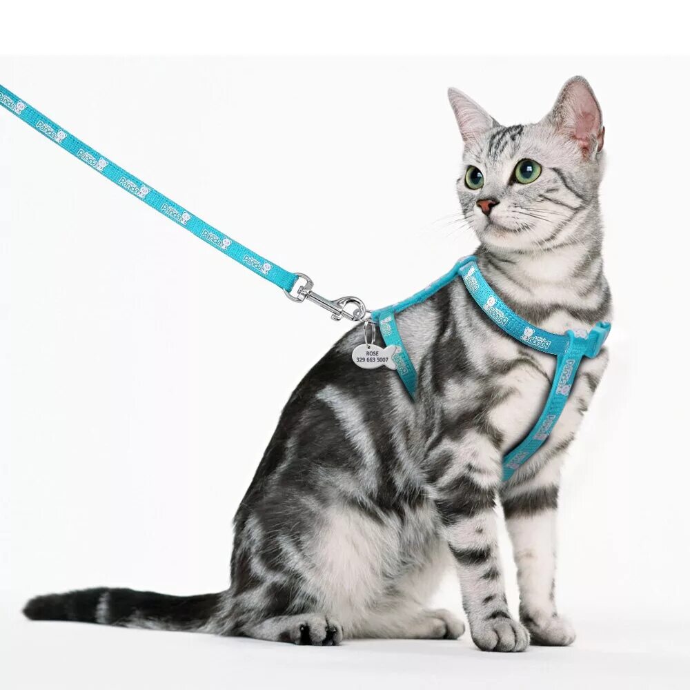 Reflective Pink Cat Vest Harness With Leash Set For Walking Soft Mesh Small Dog 