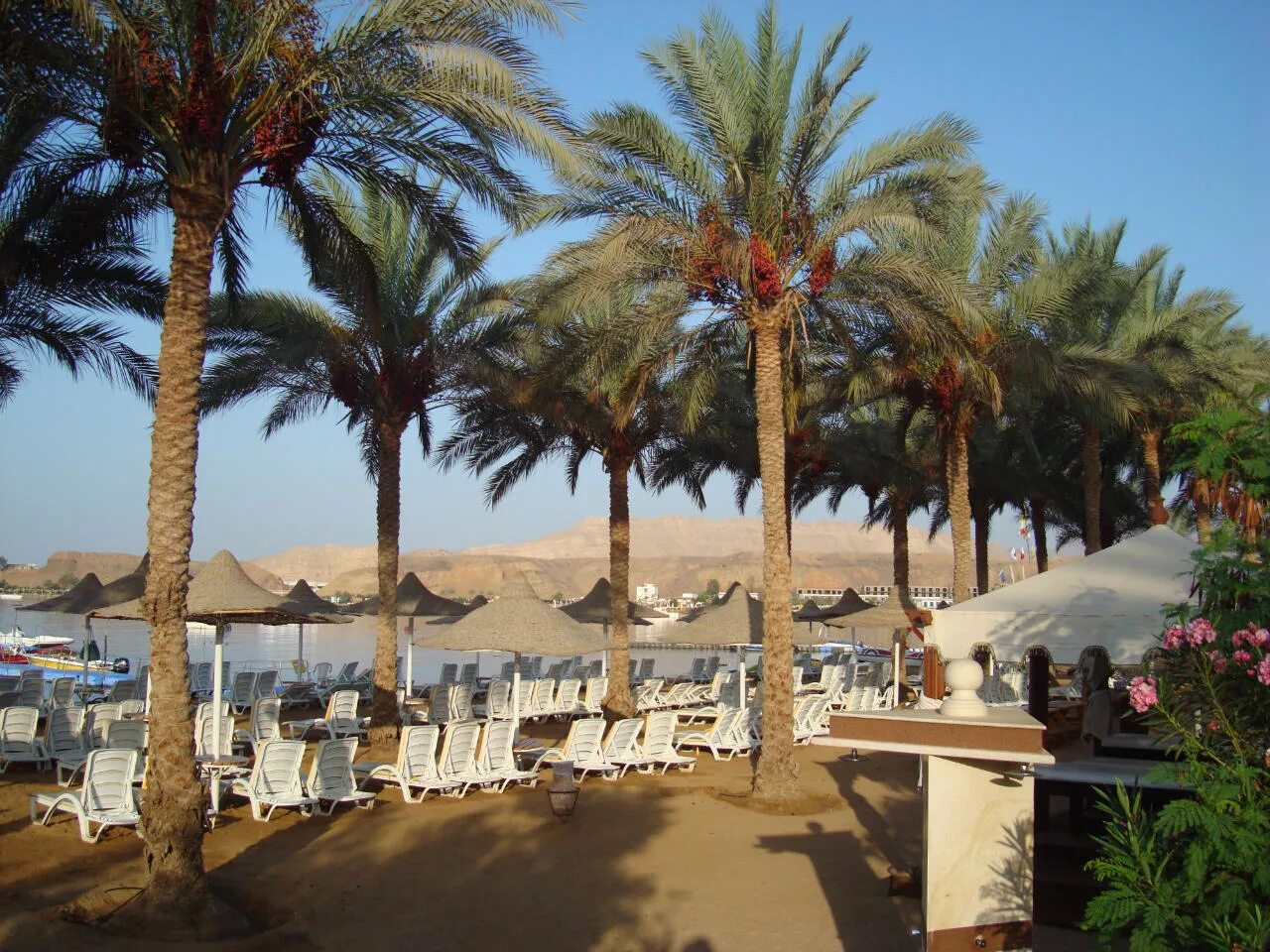 Seti Sharm 4* Шарм-Эль-Шейх отель. Fun&Sun Smart Seti Sharm. Fun Sun Smart Seti Sharm 4 Египет Шарм-Эль-Шейх. Египет Seti Sharm Resort (ex. Fun&Sun Smart Seti) 4* Хадаба, Шарм-Эль-Шейх.