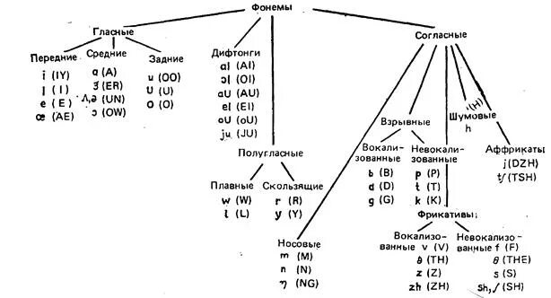 Система гласных фонем таблица. Гласные фонемы русского языка таблица. Классификация гласных и согласных фонем. Разновидности фонем. Звуки речи фонема