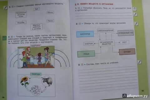 Тетр окр мир 3