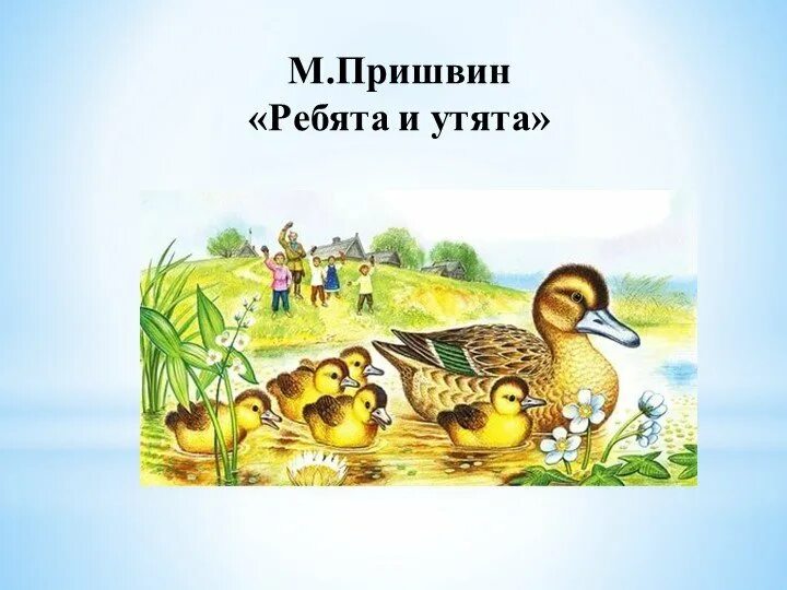 Эм пришвин утята и ребята. Иллюстрации к рассказу м. Произведения пришвина ребята и утята. Утята и ребята пришвин читательский. Эм пришвин утята и ребята.