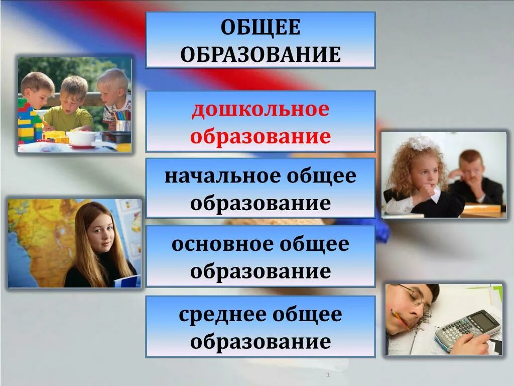 Общее образование 2018. Общее образование. основное общее образование. основное общее. среднее общее образовани.