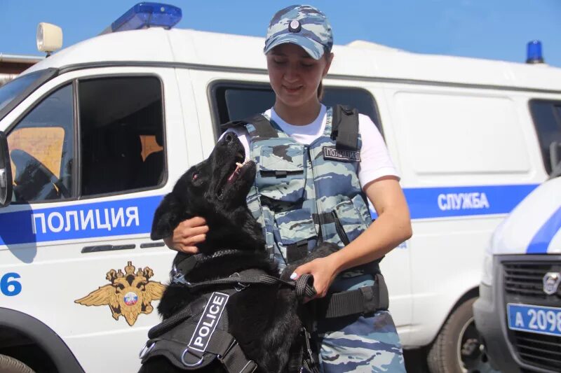 Кинолог в полиции зарплата. Умвд центр кинологической службы калининград. с днем кинологической службы. праздник день кинологической службы. собака умвд.