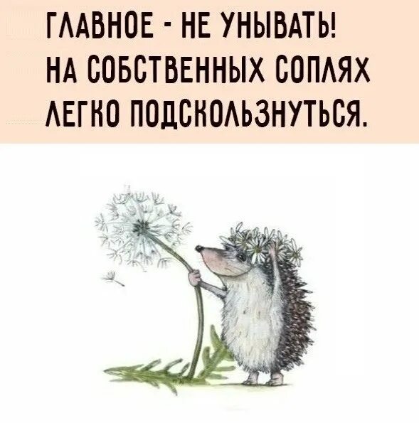 Братик не унывай найдешь. Не унывать картинки. Главное не унывать на собственных соплях легко поскользнуться. Главное не унывать. Не будем унывать.