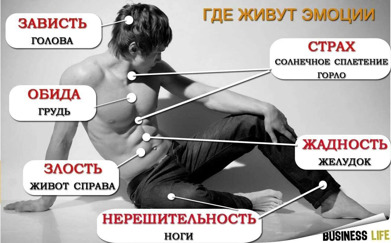 эмоции живут в теле
