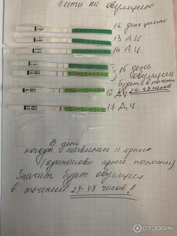 Тест на овуляцию после месячных. Тест на овуляцию. тест на овуляцию результаты. тесты на овуляцию по дням. тест на овуляцию по дням цикла.