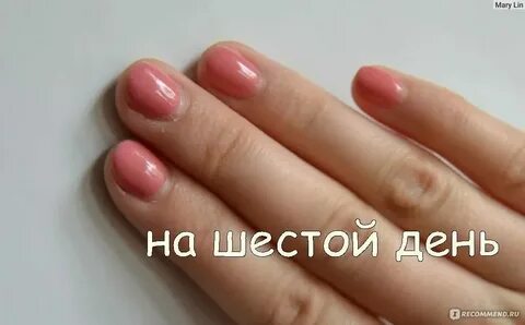 Сколько дней держатся ногти