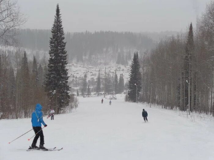пухтолова гора ватрушки. зеленогорск горнолыжный комплекс. зеленогорск горнолыжный комплекс. пухтолова гора зеленогорск 1. пухтолова гора лыжи.
