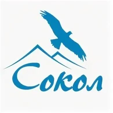 Сокол адрес