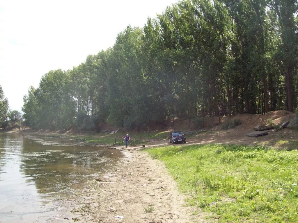 Роща астрахань. Фонтан в парке гуськова оренбург. Берёзовая роща астрахань. Парк тополиная роща астрахань. Роща астрахань.