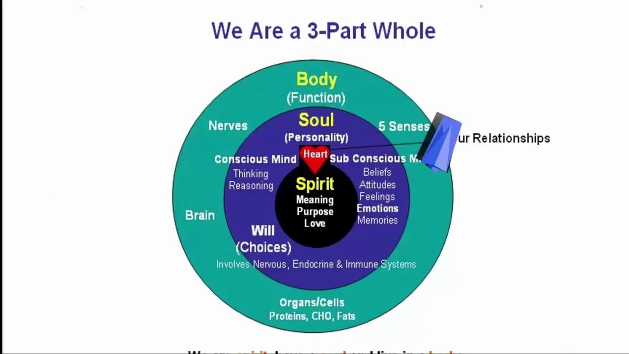 Body mind spirit. Пять органов чувств у человека. Человек дышит. Types of senses. Classification receptors.