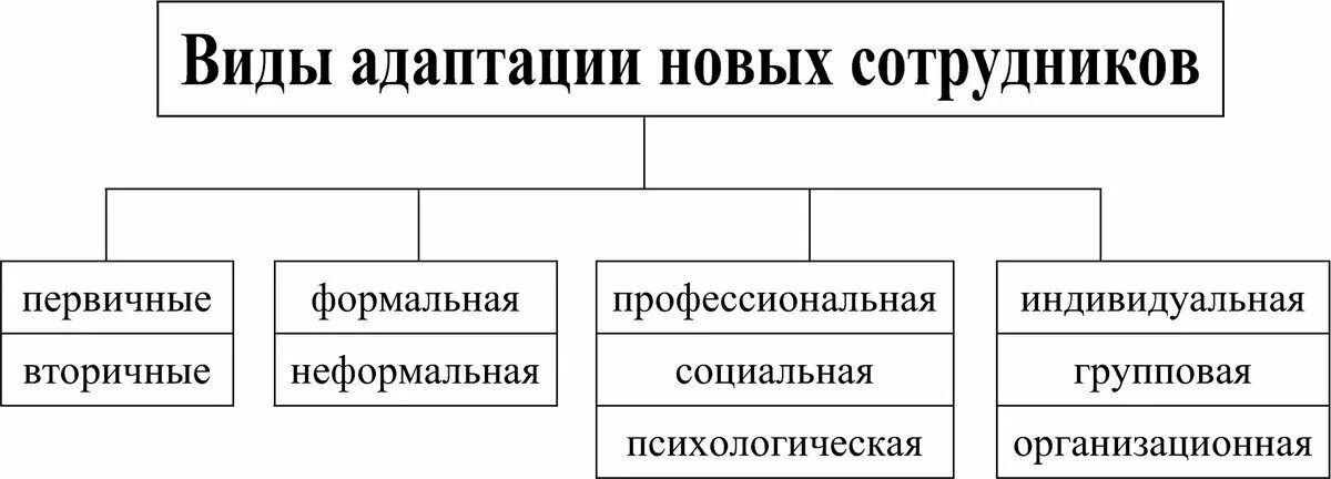 Адаптации организмов к условиям обитания - презентация онлайн