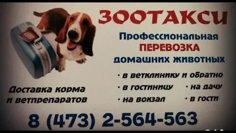 Ветеринарная станция мытищи олимпийский
