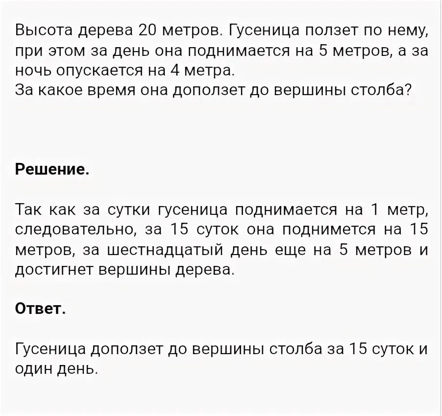 Гусеница взбиралась на дерево высотой 14 метров