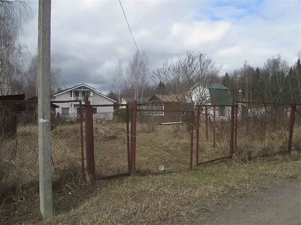 Участок снт родничок. СНТ Родничок Московская область Пушкинский район. СНТ Родничок Могильцы. Родничок СНТ Белоусово. Могильцы Пушкинский р-н СНТ.