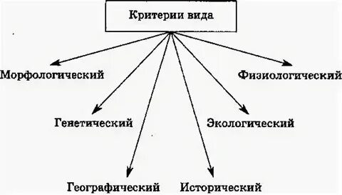 Что такое автотомия в биологии