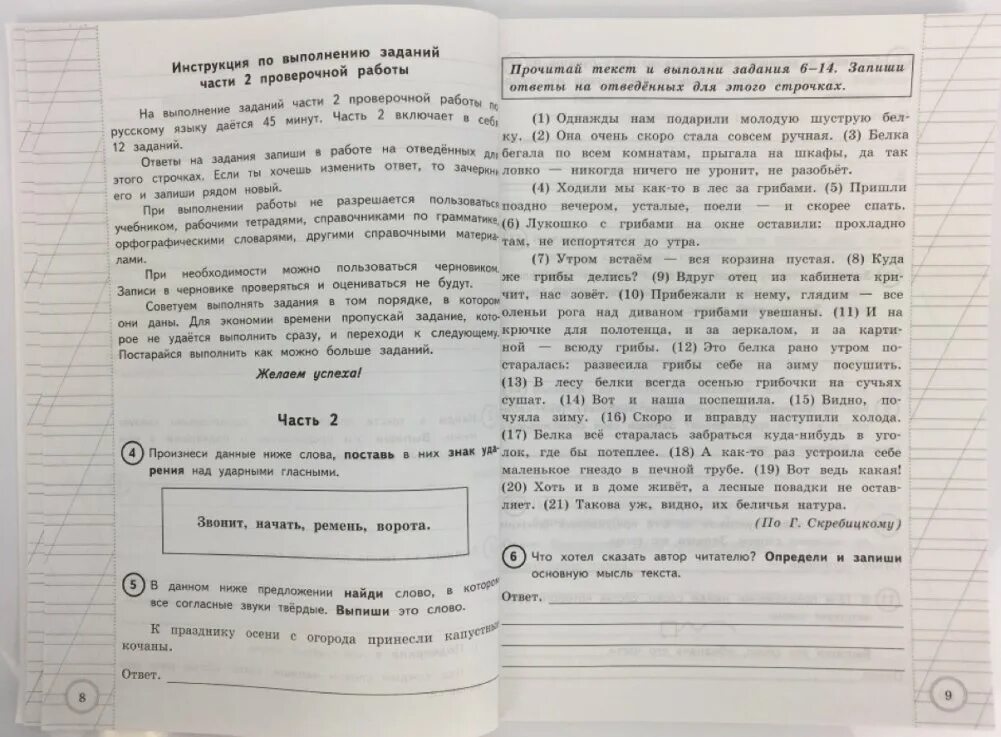 Всероссийская проверочная работа за курс начальной школы 25 вариантов. ВПР типовые задания 4 класс русский язык 25 вариантов. ВПР по русскому языку за курс начальной школы. ВПР типовые задания 25 вариантов. Ответы на впр 8 класс текст 2