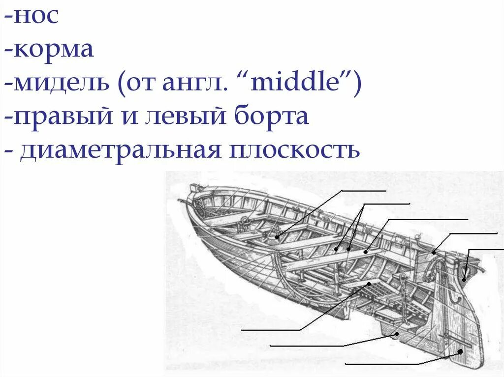 Корма носа