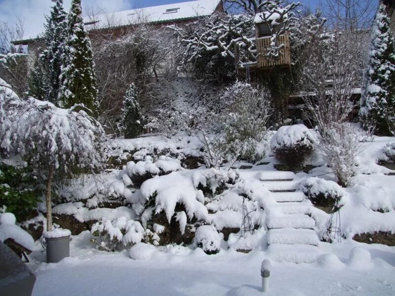 Сад зимой. Красивый сад зимой. Сад в снегу. Зимний ландшафт. Снегом укрыты дома