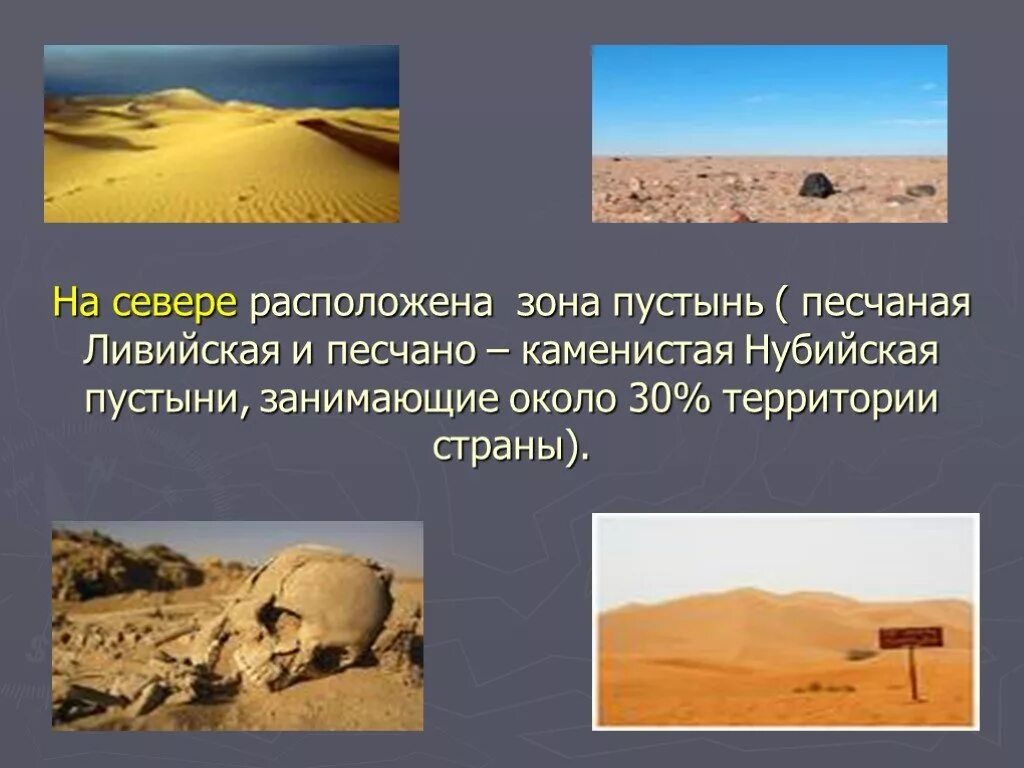 В зоне пустынь большие пространства занимают