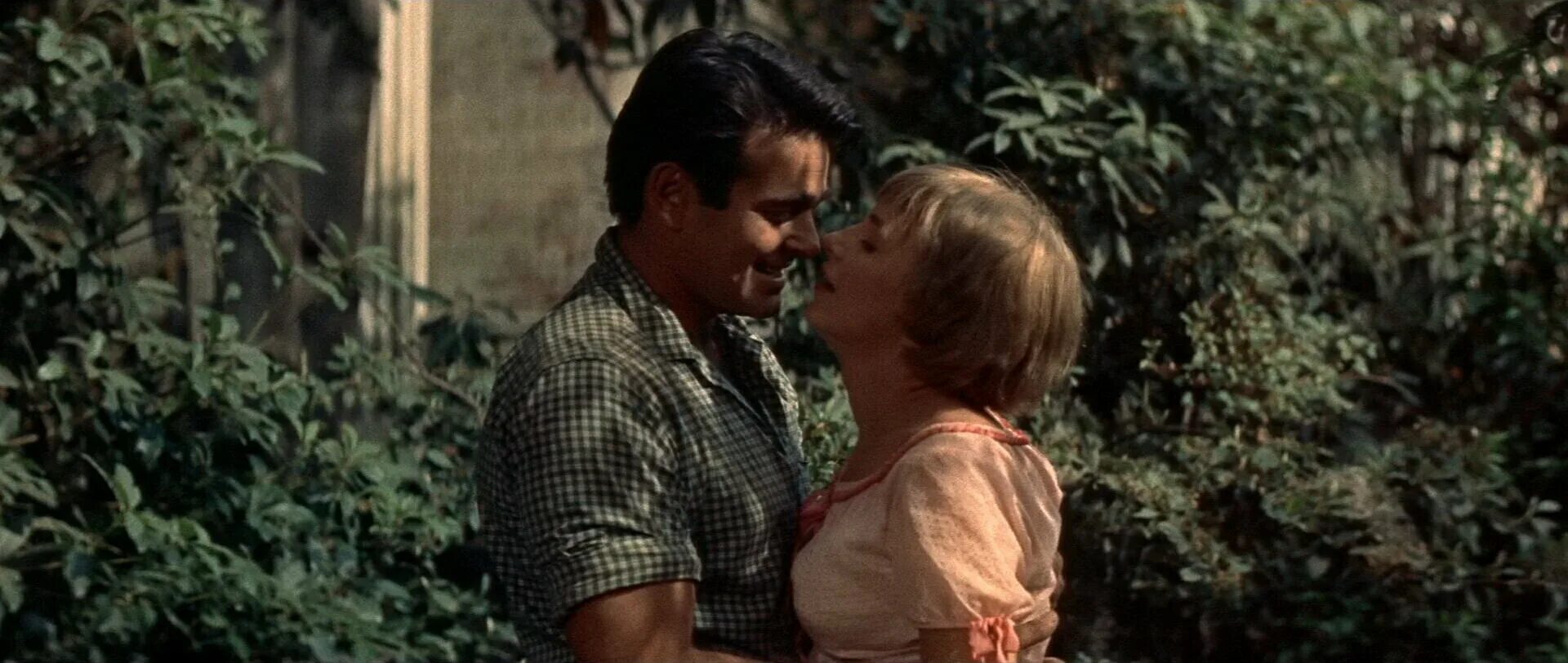 уильям фолкнер шум и ярость книга обложка. шум и ярость уильям фолкнер. бенджи компсон шум и ярость. уильм фолкнер «звук и ярость». звук и ярость | фолкнер уильям.