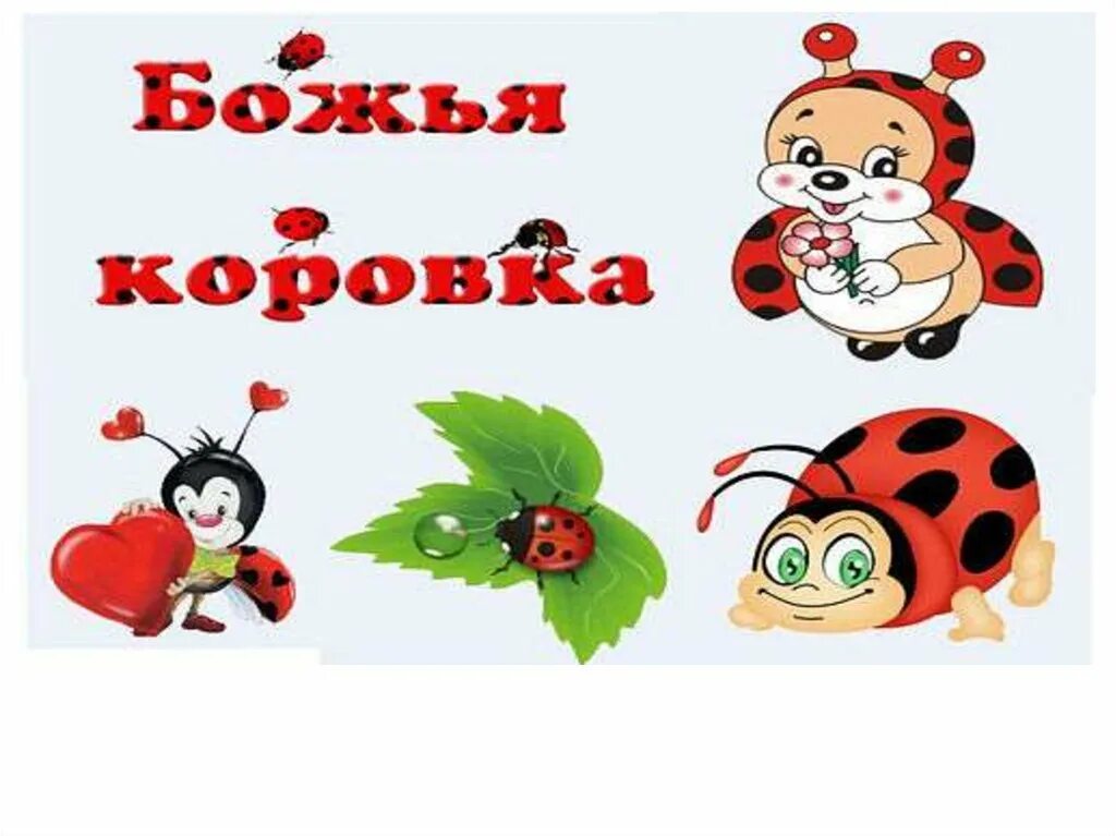 Презентация на тему божья коровка. Детям о божьей коровке для дошкольников. Интересные факты о божьей коровке для детей. Информация о божьей коровке. Презентация божья коровка для дошкольников.
