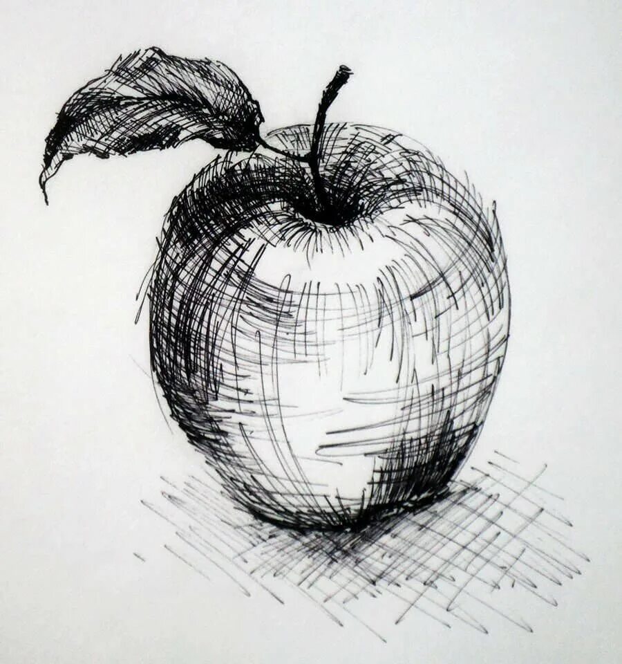 Графика карандашом. Яблоко карандашом. Наброски рисунков. Набросок яблока карандашом.