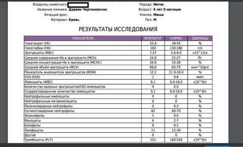Сколько делаются анализы в бесплатной поликлинике