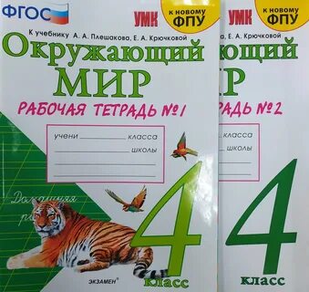 Авито окружающий мир 4 класс