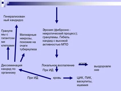 Candida spp ниже порогового значения у мужчин