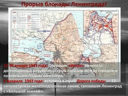 Блокада ленинграда кодовое название