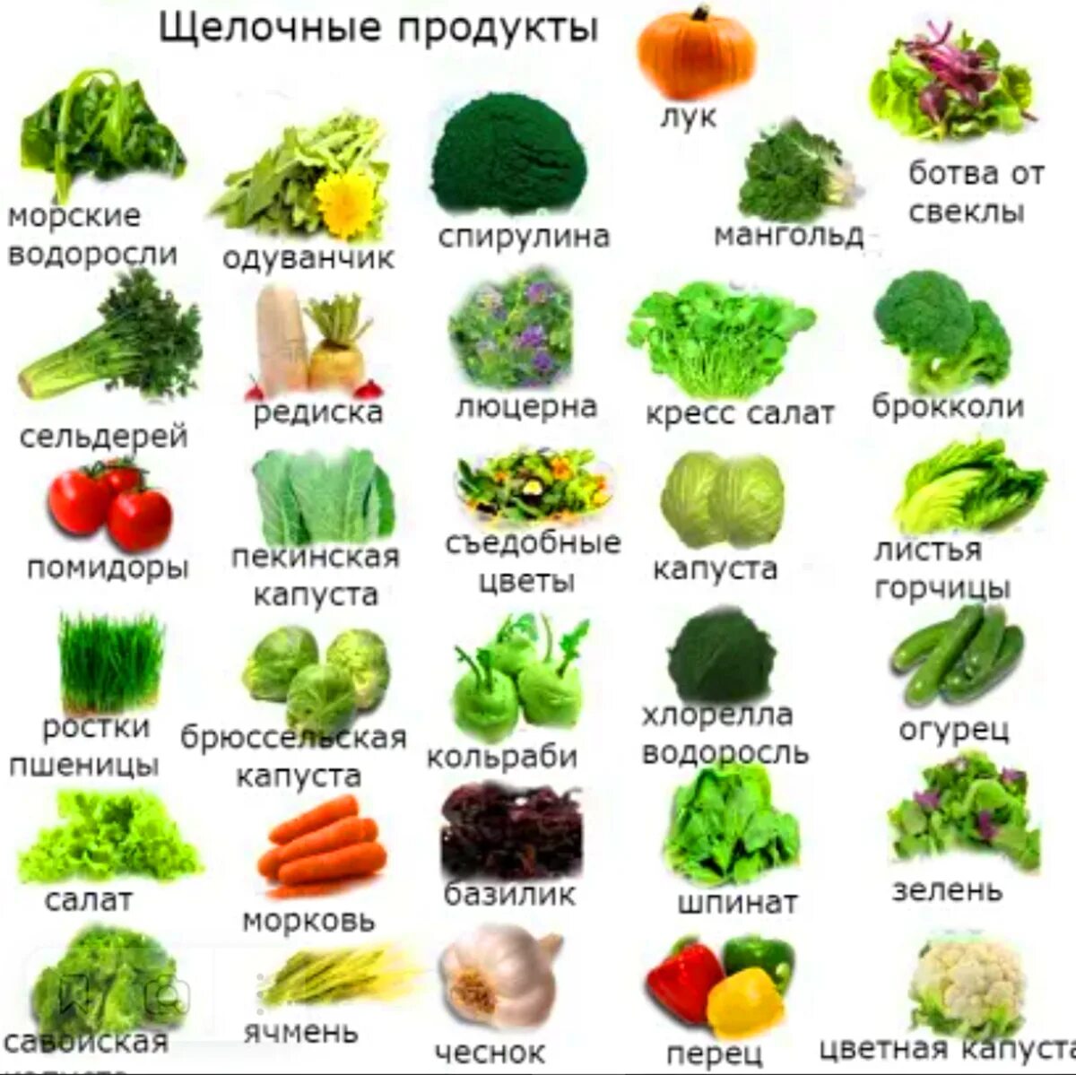 Щелочные продукты питания eCookie.ru