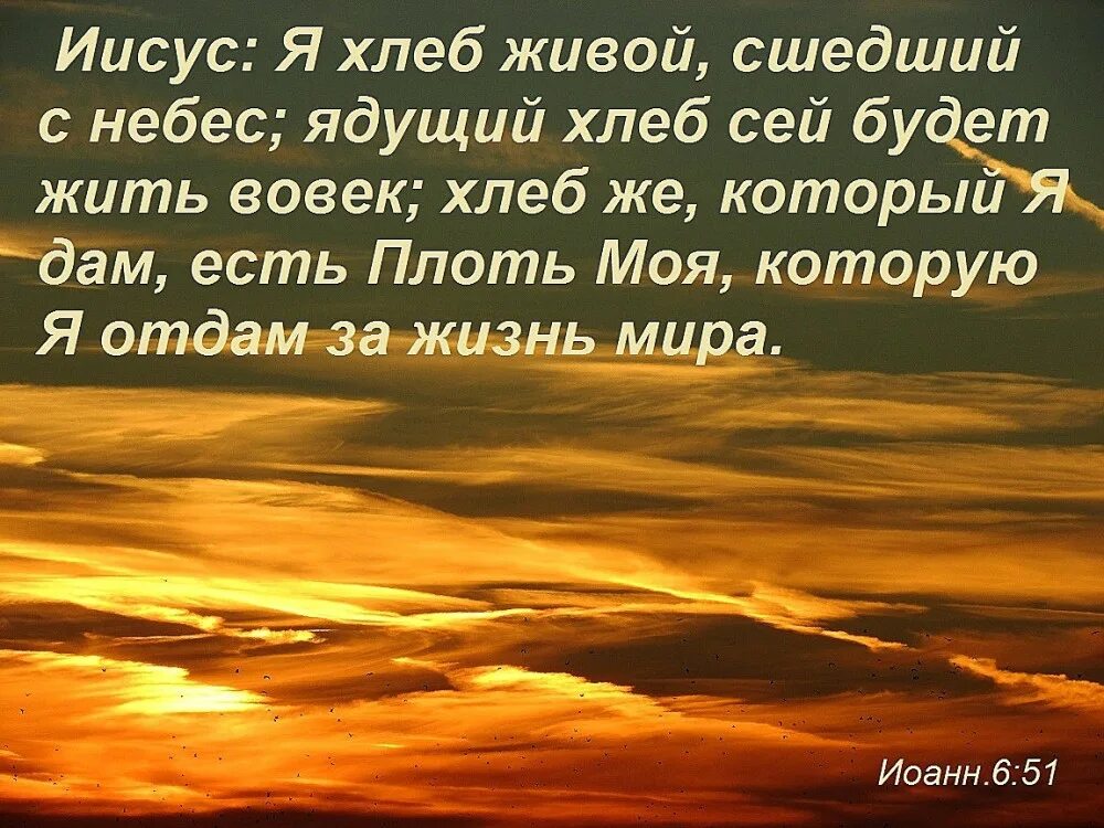Бог есть бог порядка. Иисус христос хлеб жизни. я есмь хлеб жизни. надежда на господа бога. ибо хлеб божий есть тот, который сходит с небес и дает жизнь миру..