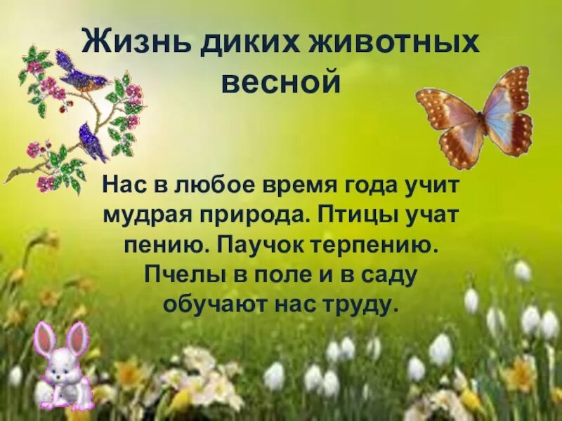 Что делают животные весной