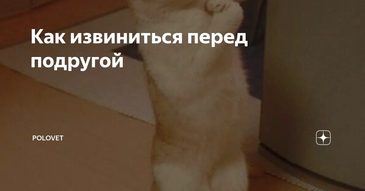 Стрим извинения перед давидом