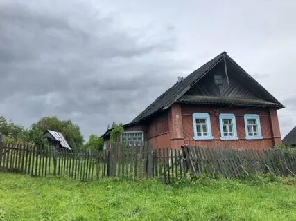 Авито пестово