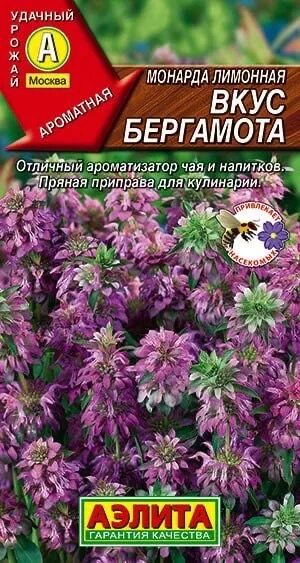 Бергамот садовый (Монарда). Бодрит и улучшает настроение ! Плюс пару слов о шалф