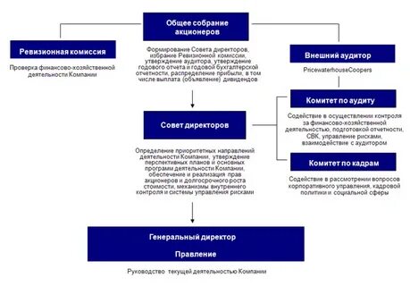 Исполнительный орган публичного акционерного общества